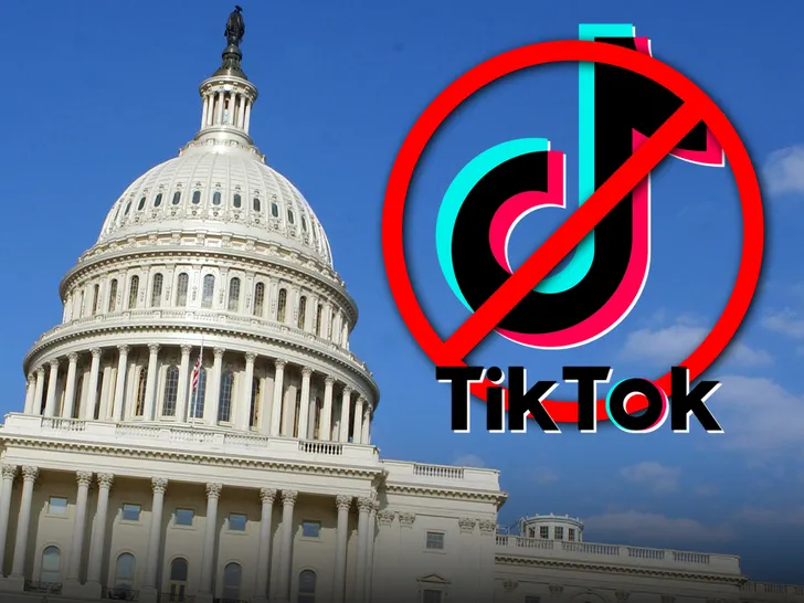 TikTok CEO Appears in US Parliament (image:- TMZ)