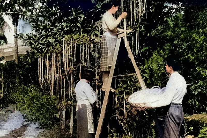 Pasta trees and paper towels with one hand? These 5 most outrageous April Fools' hoaxes ever. (image:- rear historical photo)